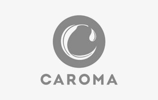 croma casino plumber